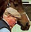Samourache, French-bred Graded Stakes winner.