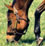 Spring in Kentucky and a safe place by Mom's side.