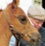 European-bred winner Tanque Verde, High Weight 2-year-old in Italy.