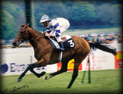 Suave Dancer winning the Arc de Triomphe